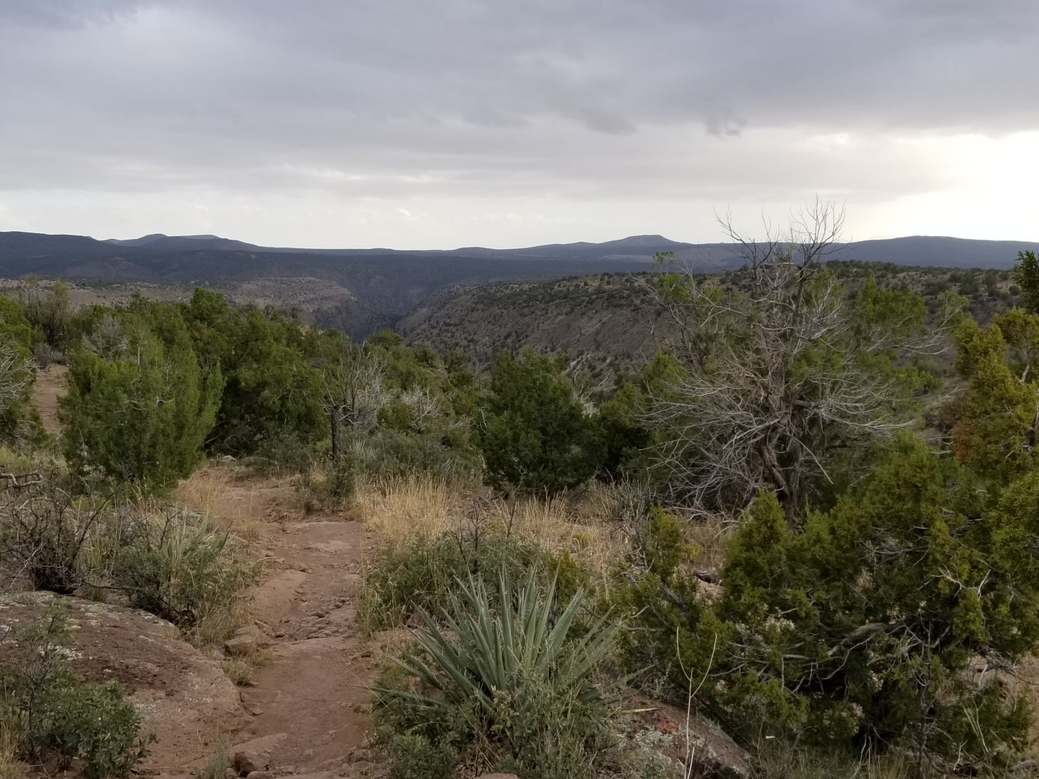 Bandalier National Monument 